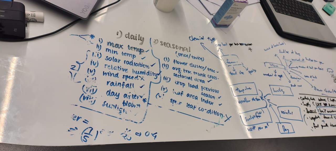 Whiteboard-style daily and seasonal sensing lists with flow sketches