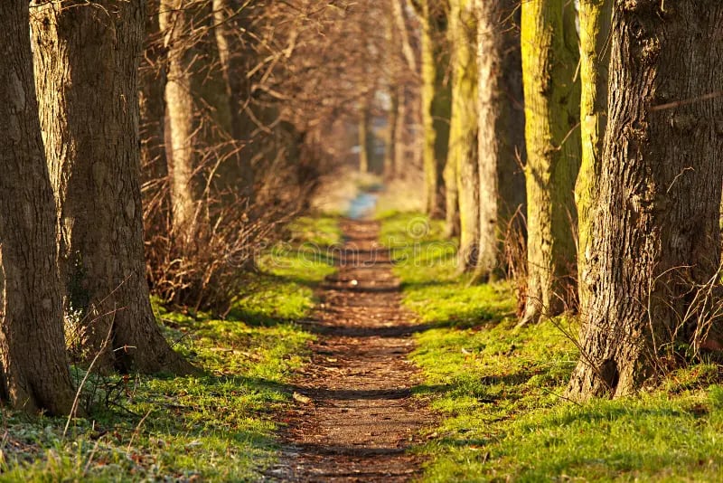 Nature walk