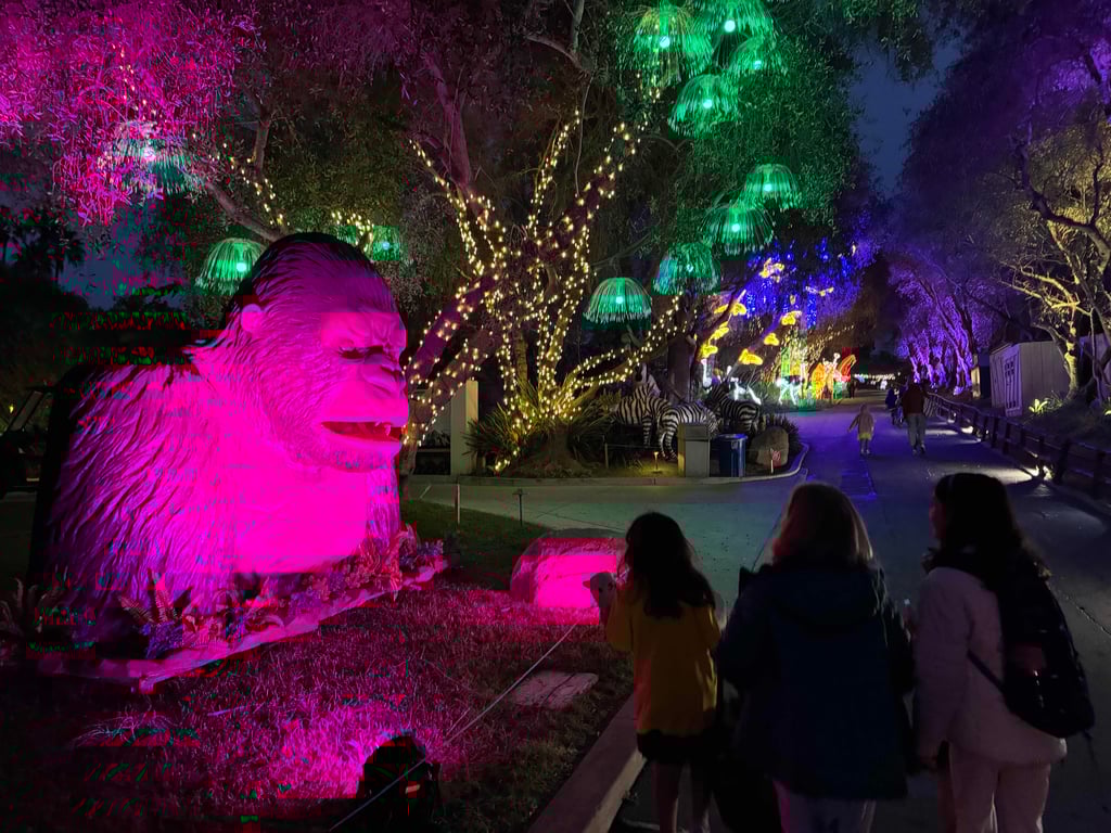 Santa Barbara Zoo Night Tour