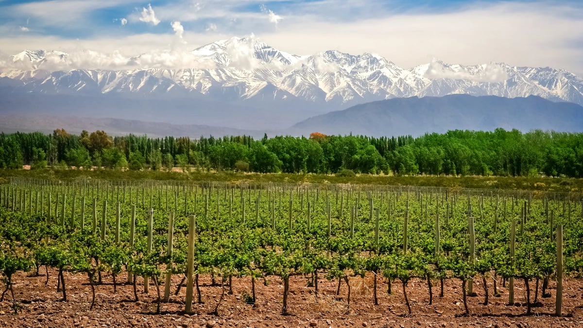 Mendoza