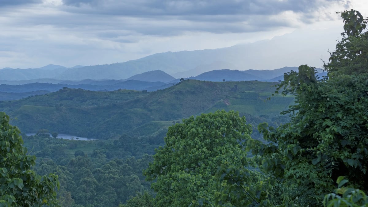 Rwenzori Mountains