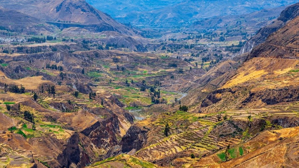 Colca Canyon