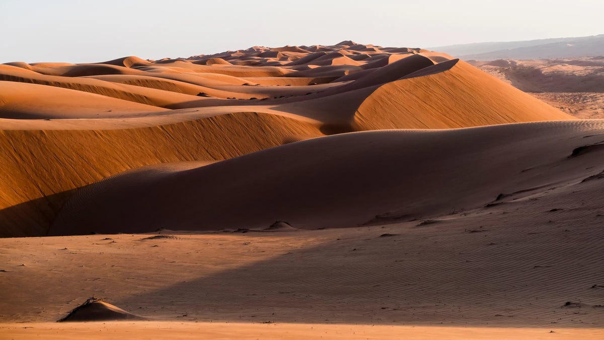 Wahiba Sands