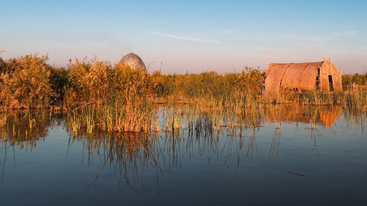 Iraqi Marshes