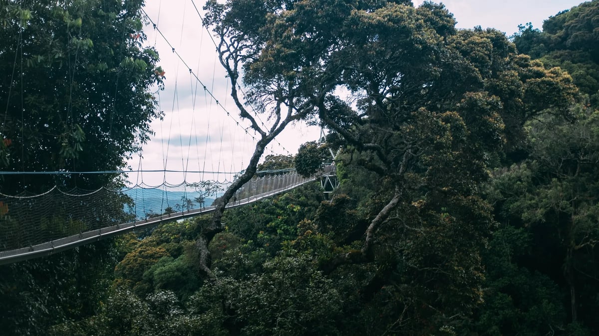 Nyungwe