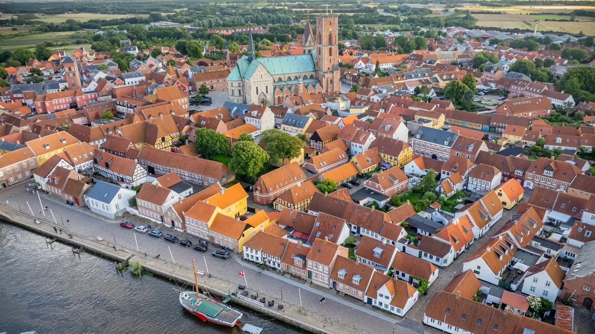 Ribe