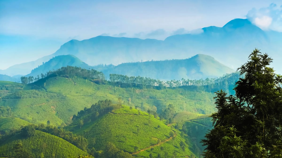 Munnar