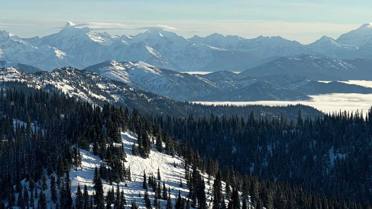 Whitefish