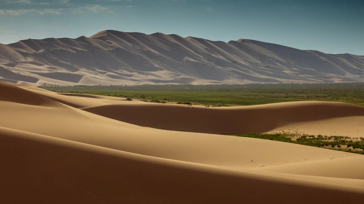 Gobi Desert