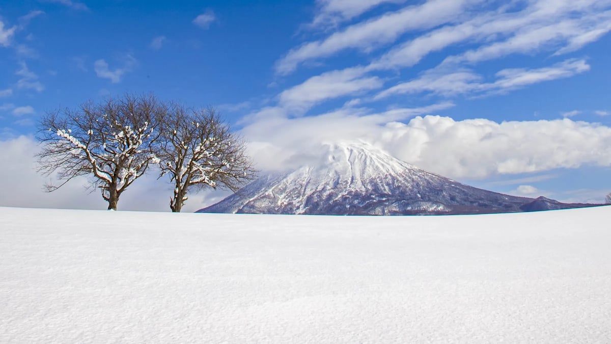 Niseko