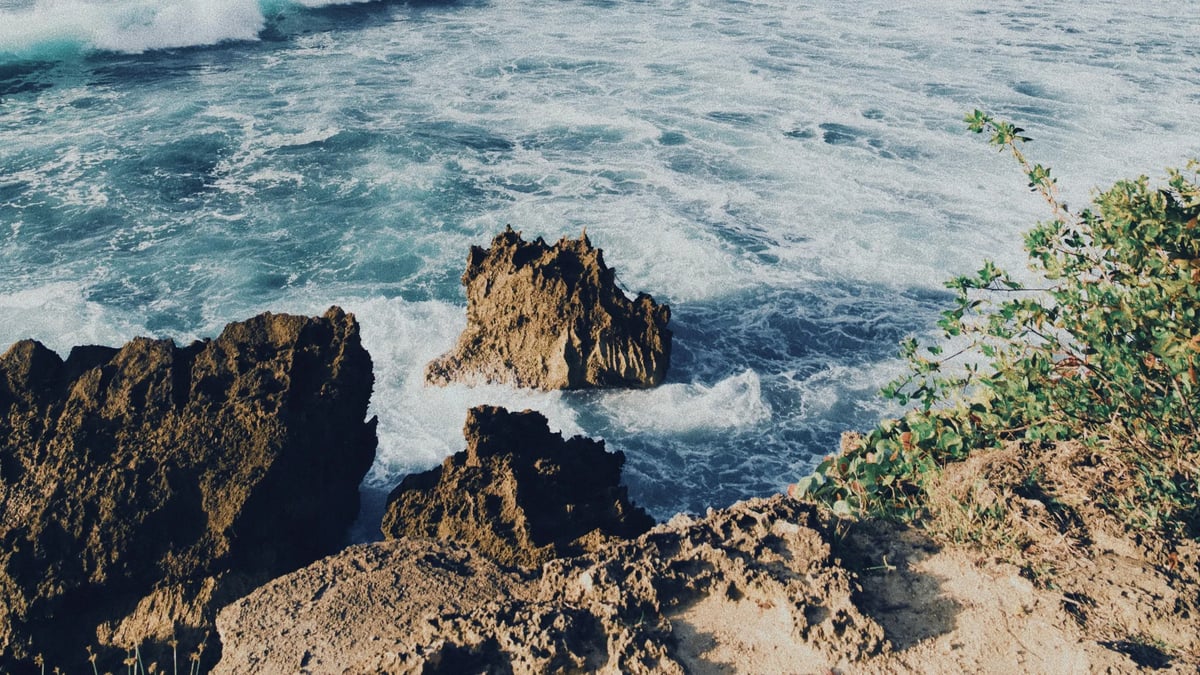 Rincón