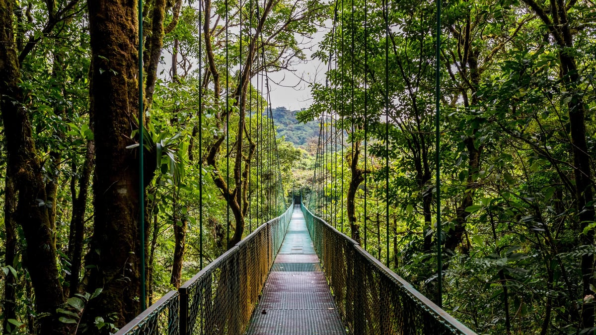 Monteverde