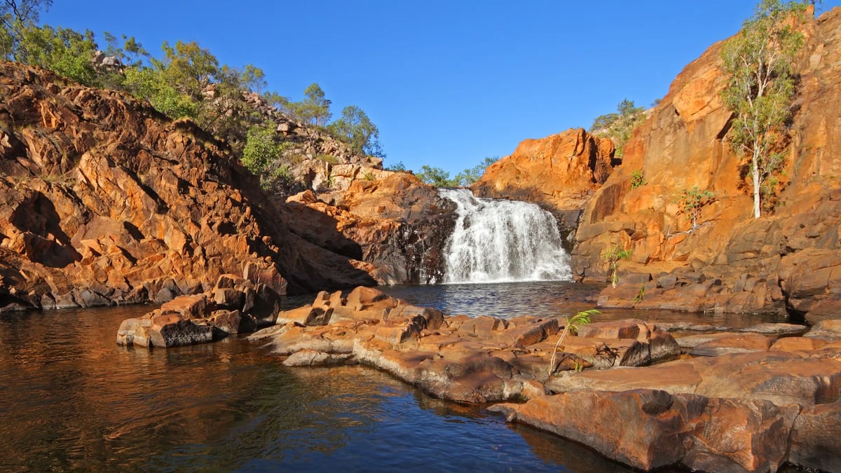 Kakadu