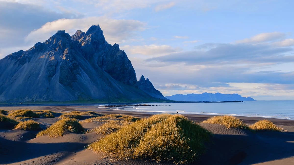 Höfn
