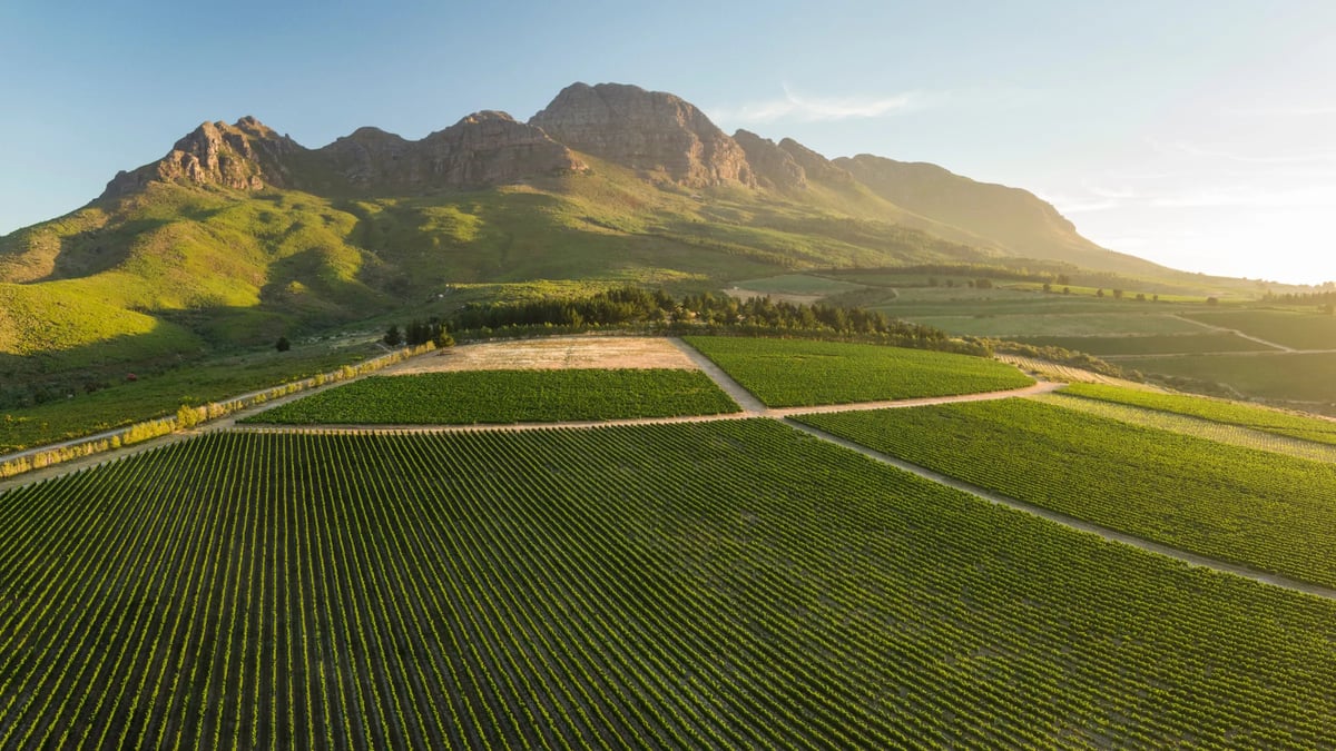 Cape Winelands