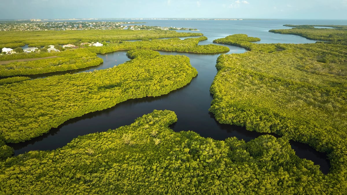 Everglades
