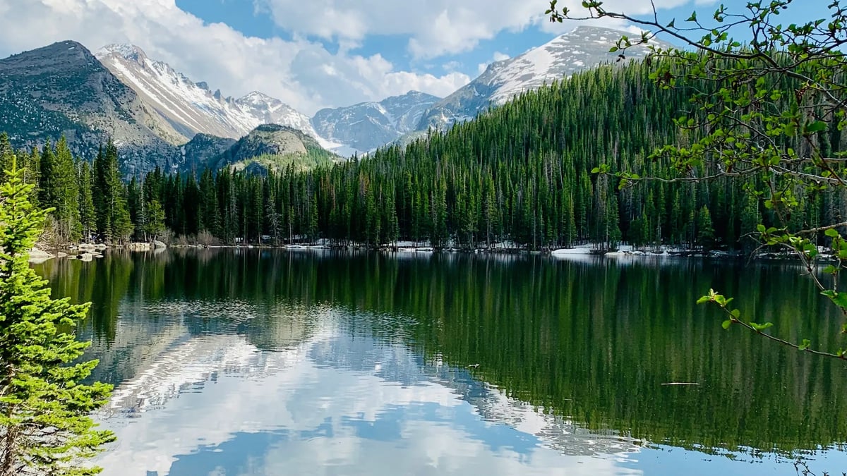 Rocky Mountain