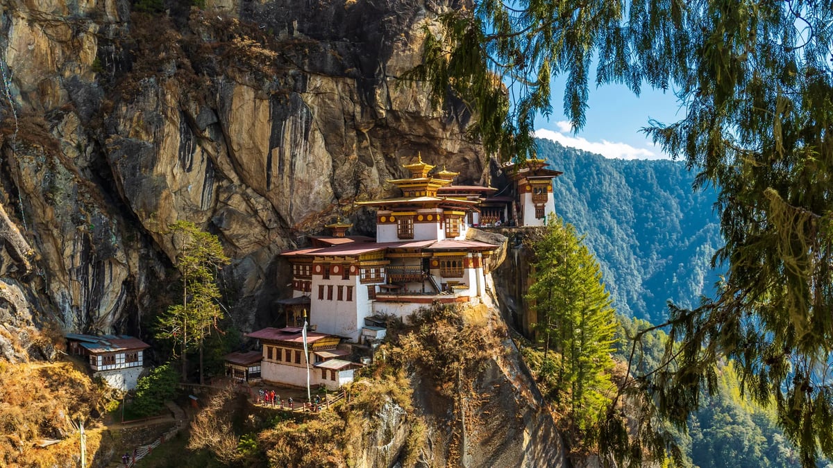 Paro
