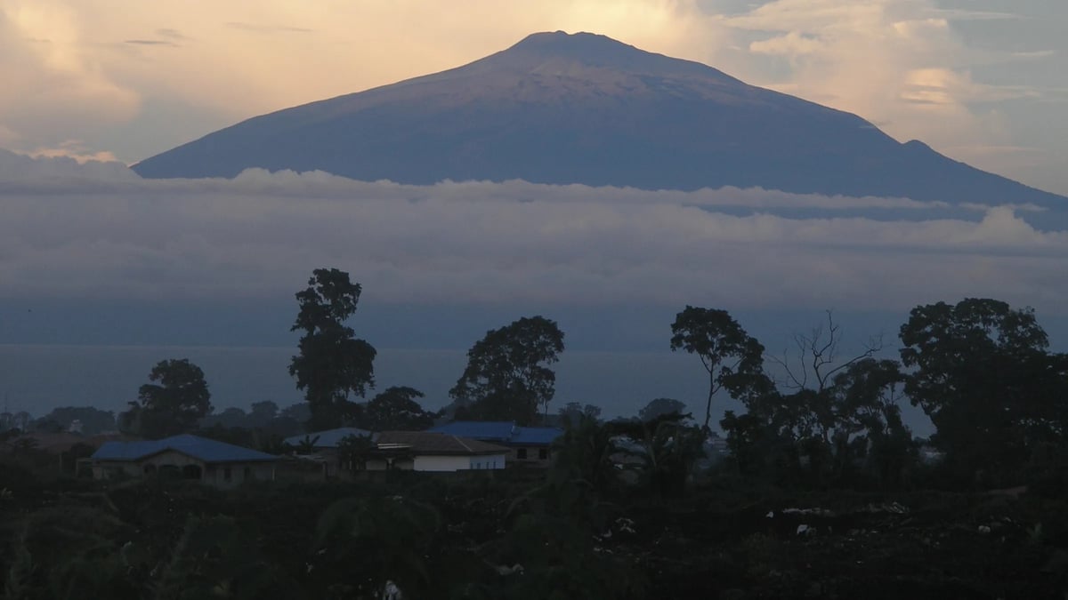 Mount Cameroon
