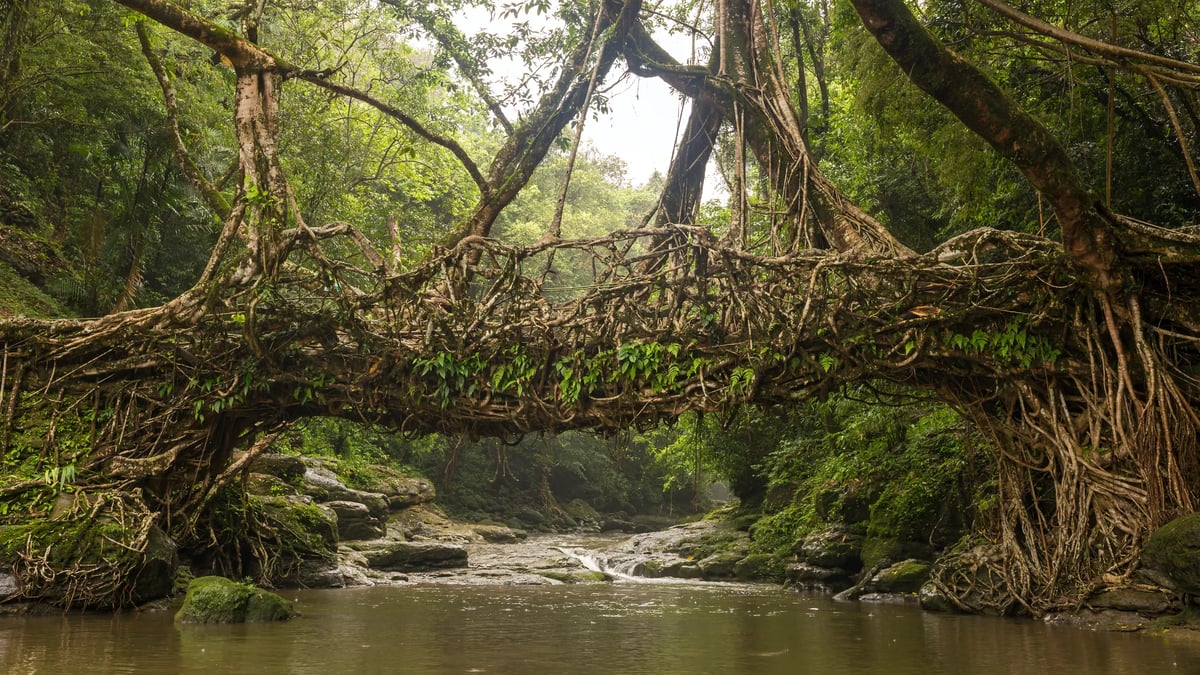 Meghalaya