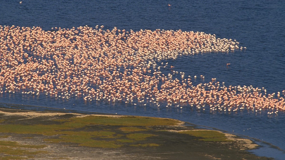 Lake Nakuru