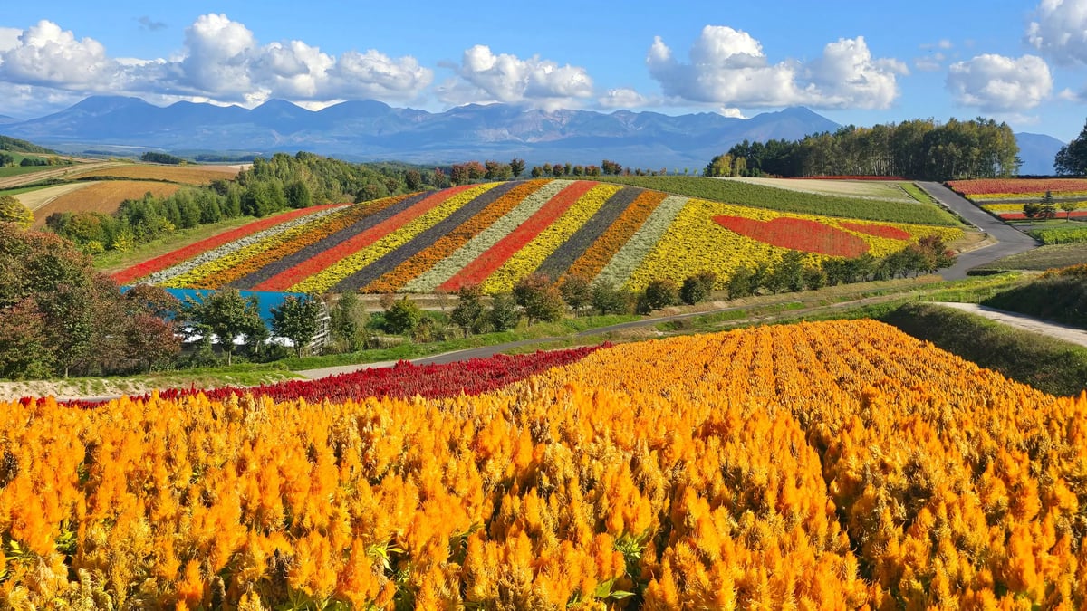 Furano