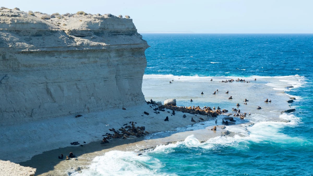 Valdés Peninsula