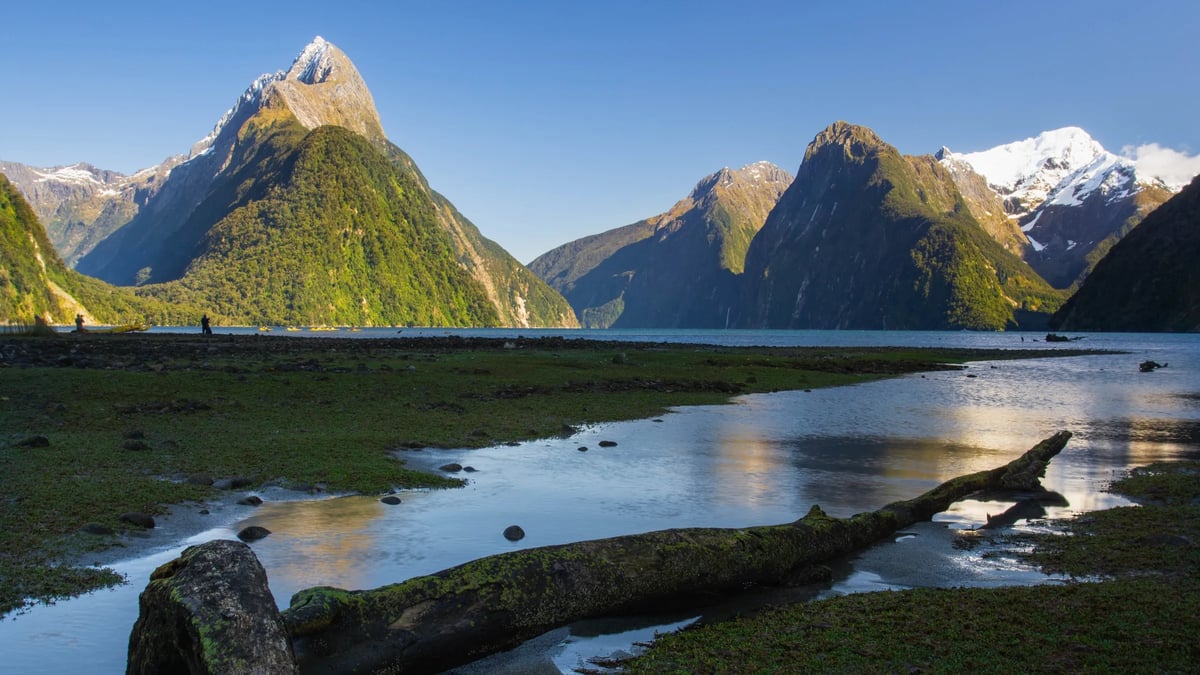 Fiordland