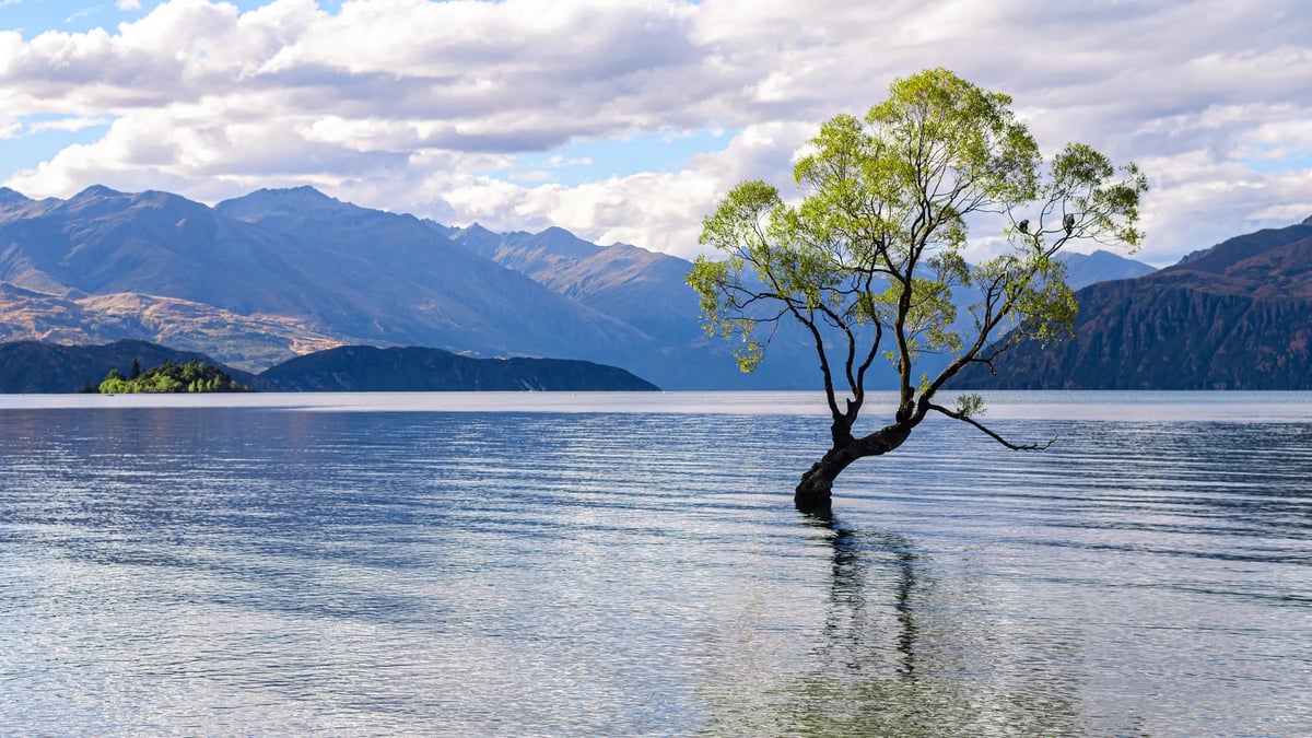 Wānaka