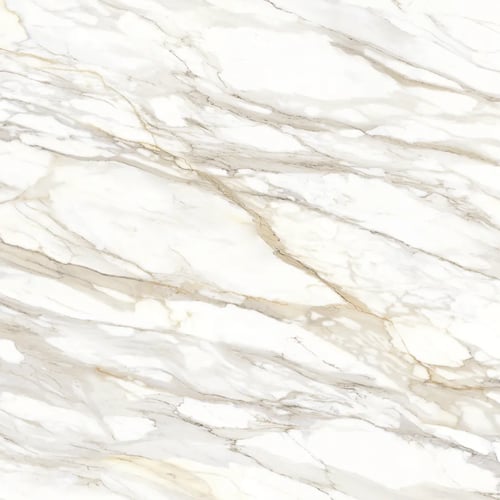Dt-Borghini Light Polished