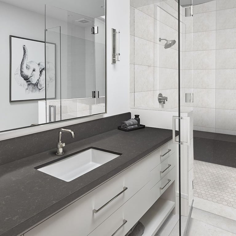 Pro Storm (countertop), CS-Terra Nova Multi Finish Hex 2 x 2 Mesh (shower floor), Terra Nova 12×24 (shower walls),