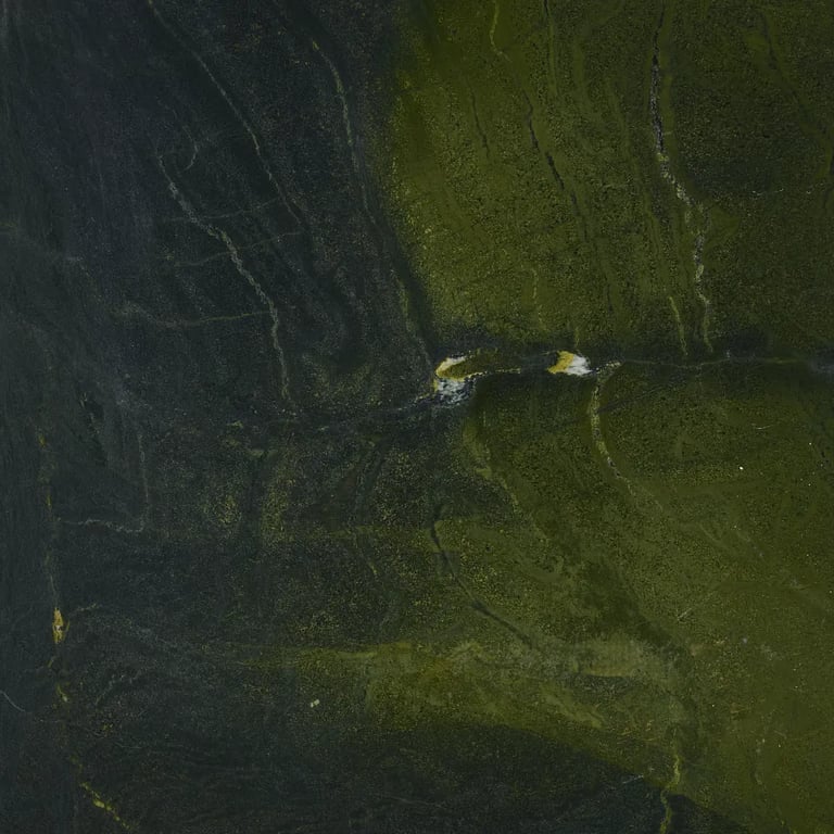 Avocatus Satin cropped