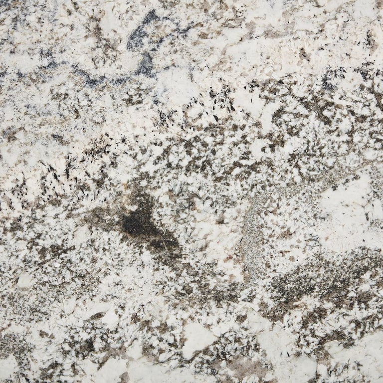 Bianco Typhoon Polished – Close up photo is an example of the structure and color of this product, which will vary.