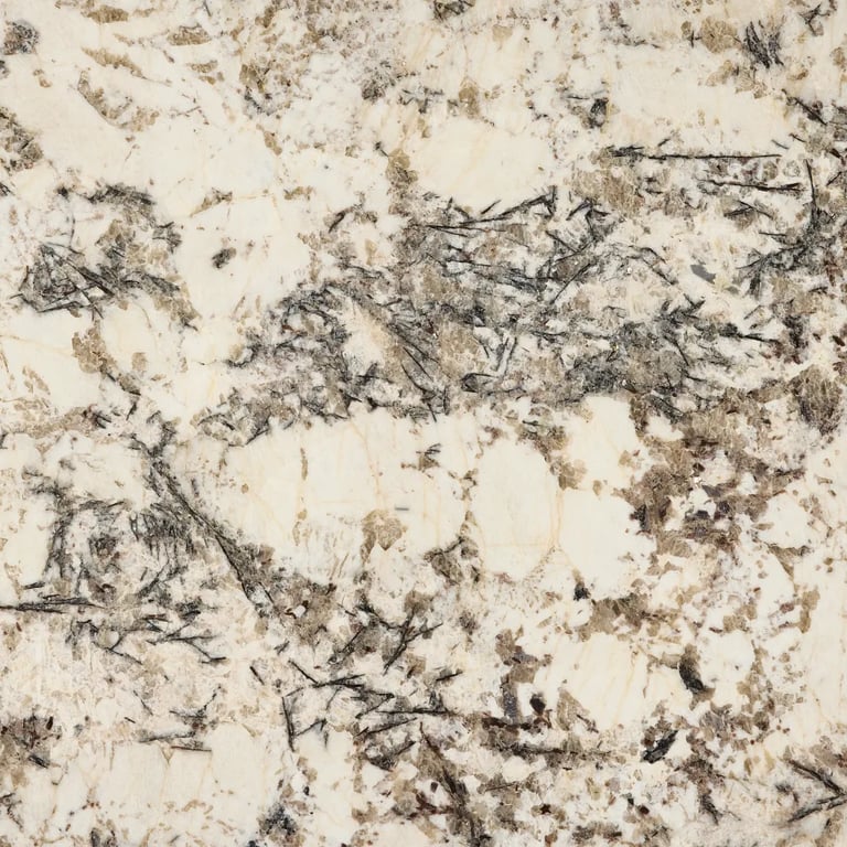 Delicatus White_1604_DT2