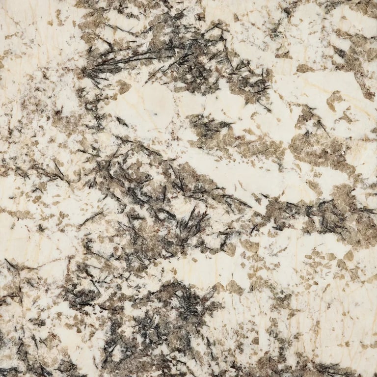 Delicatus White_1604_DT1