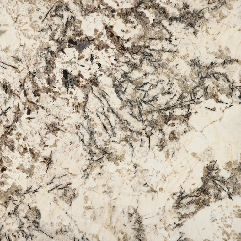 Delicatus White_1604_DT3