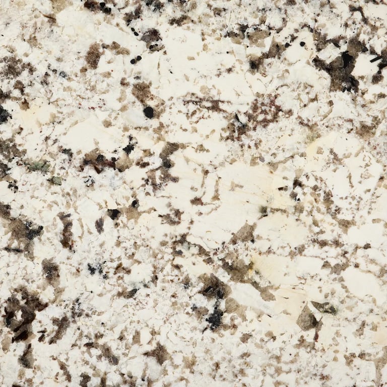 Delicatus White 3209 160436_DT2