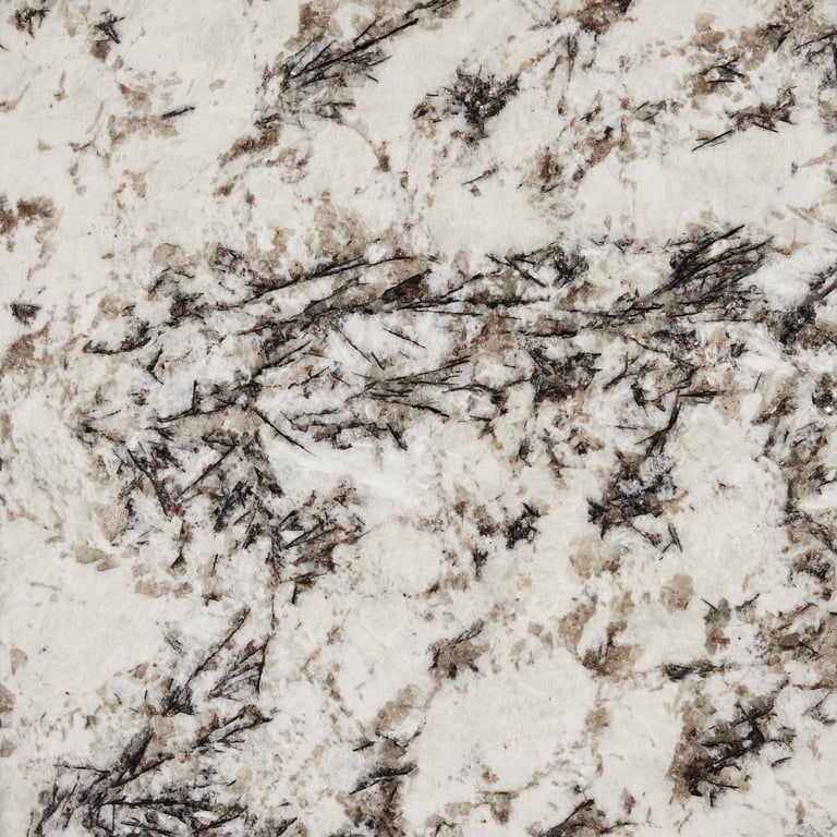 Delicatus White Polished – Close up photo is an example of the structure and color of this product, which will vary.