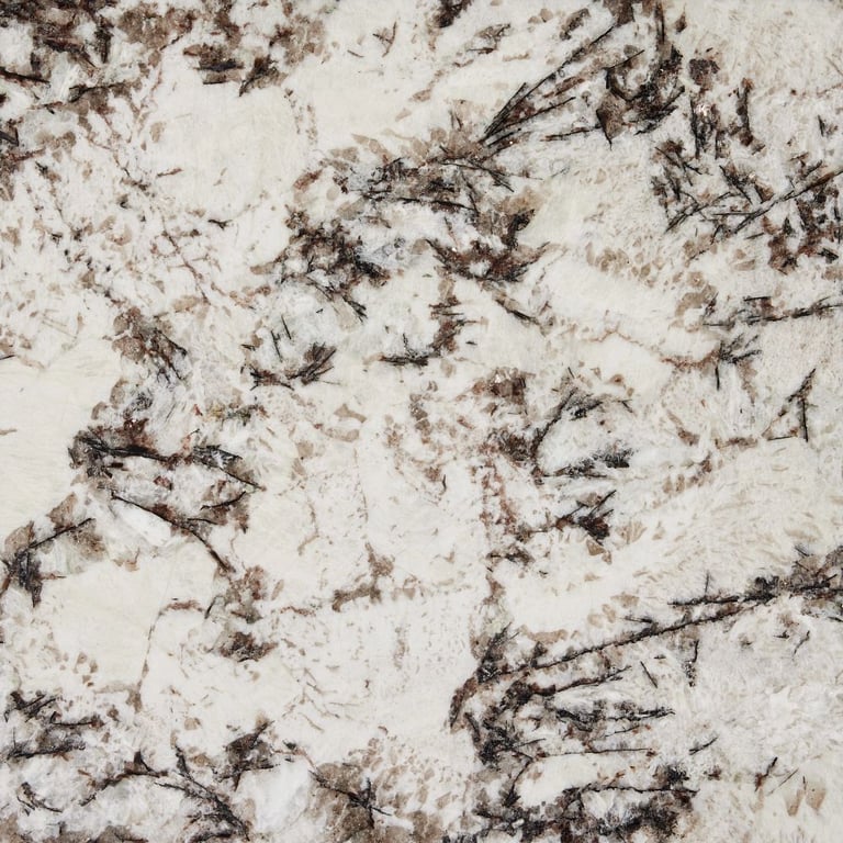 Delicatus White Polished – Close up photo is an example of the structure and color of this product, which will vary.