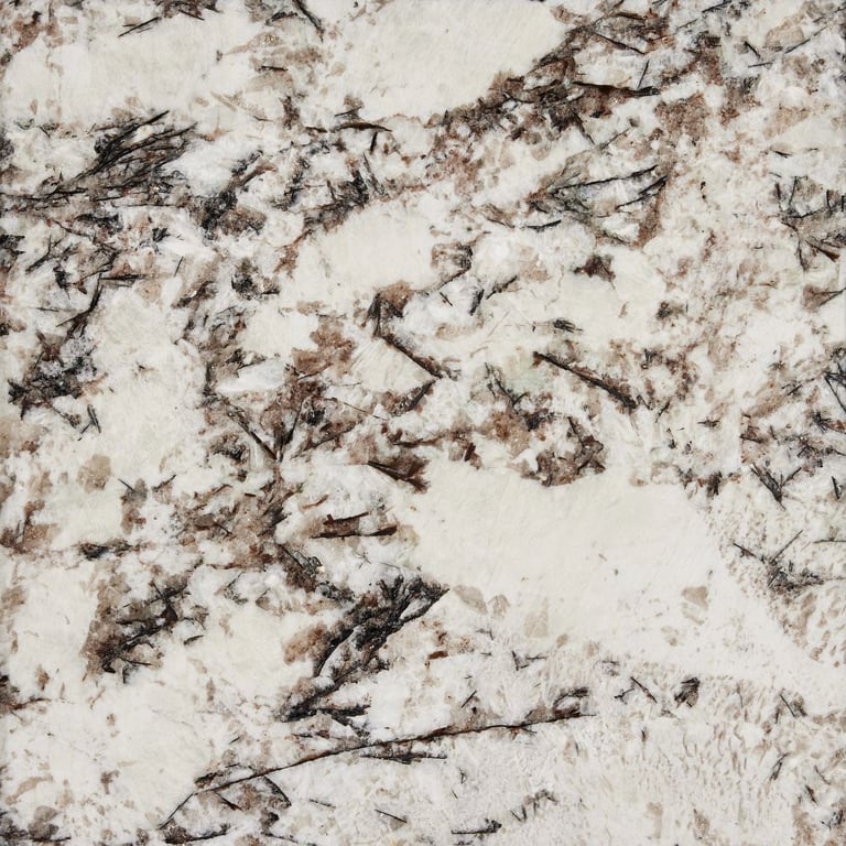 Delicatus White Polished – Close up photo is an example of the structure and color of this product, which will vary.