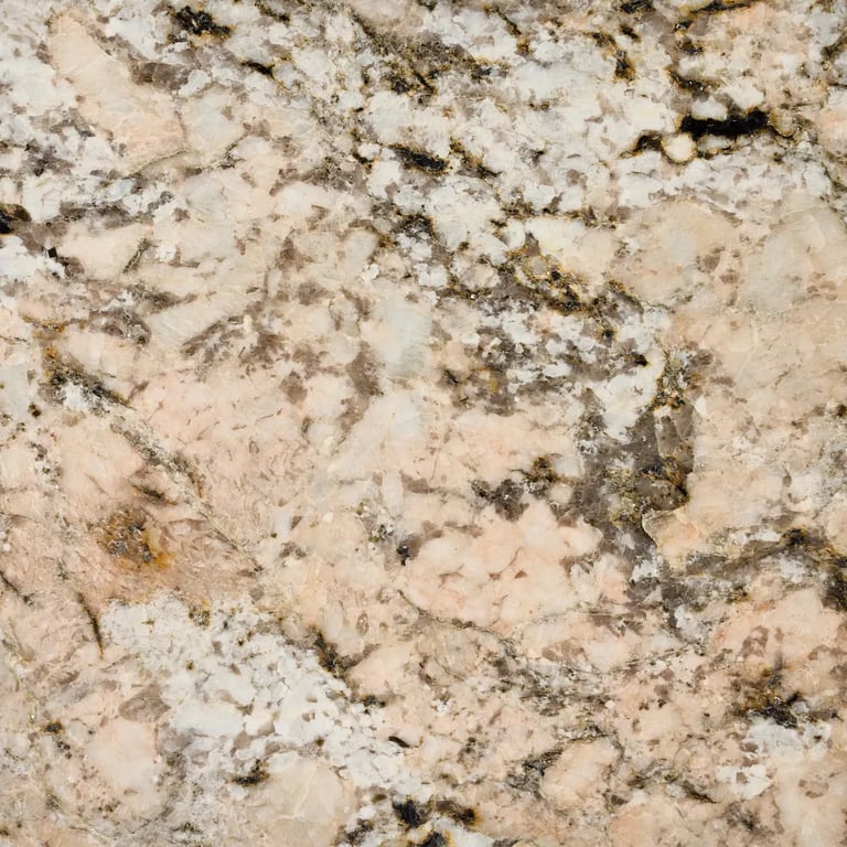 Snowridge 790637_DT1