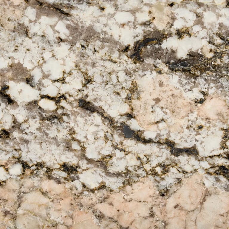 Snowridge 790637_DT2