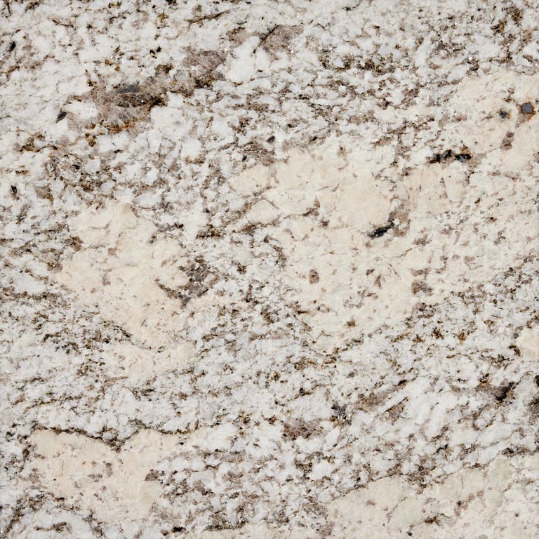 Snowridge Polished – Close up photo is an example of the structure and color of this product, which will vary.