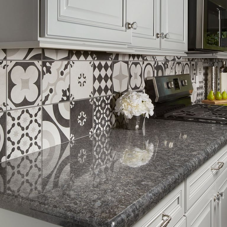 Steel Grey (counter), Cementine B&W Mix 8 x 8 (backsplash)