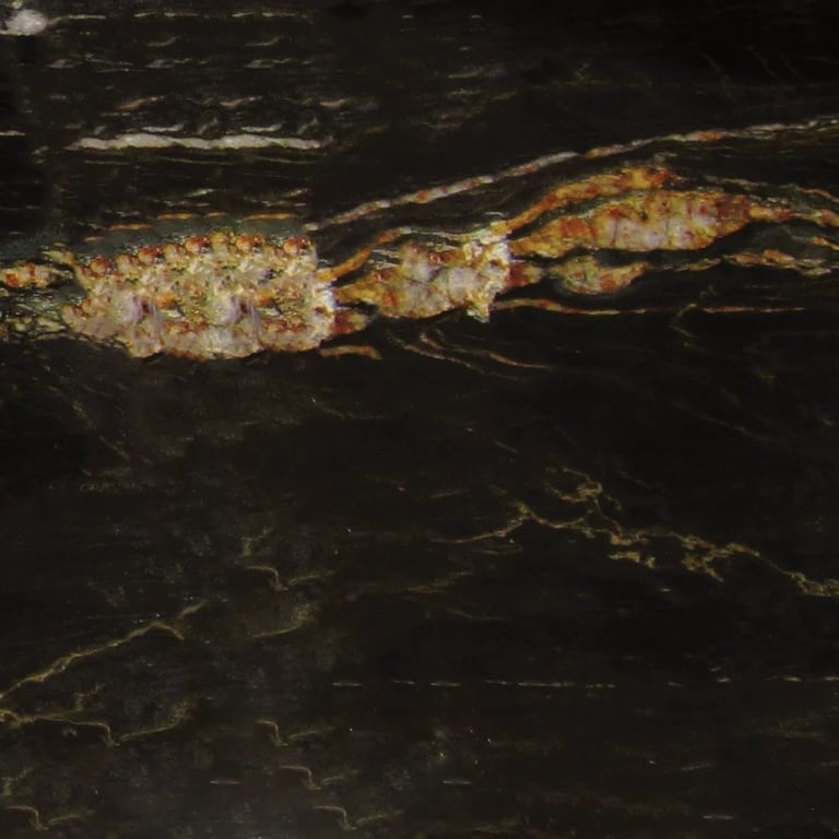 Titanium Polished – Full slab photo is an example of the structure and color of this product, which will vary.