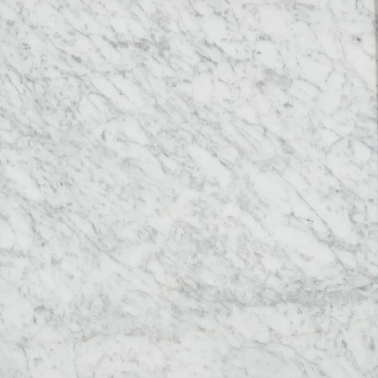 Bianco Venatino Polished – Close up photo is an example of the structure and color of this product, which will vary.