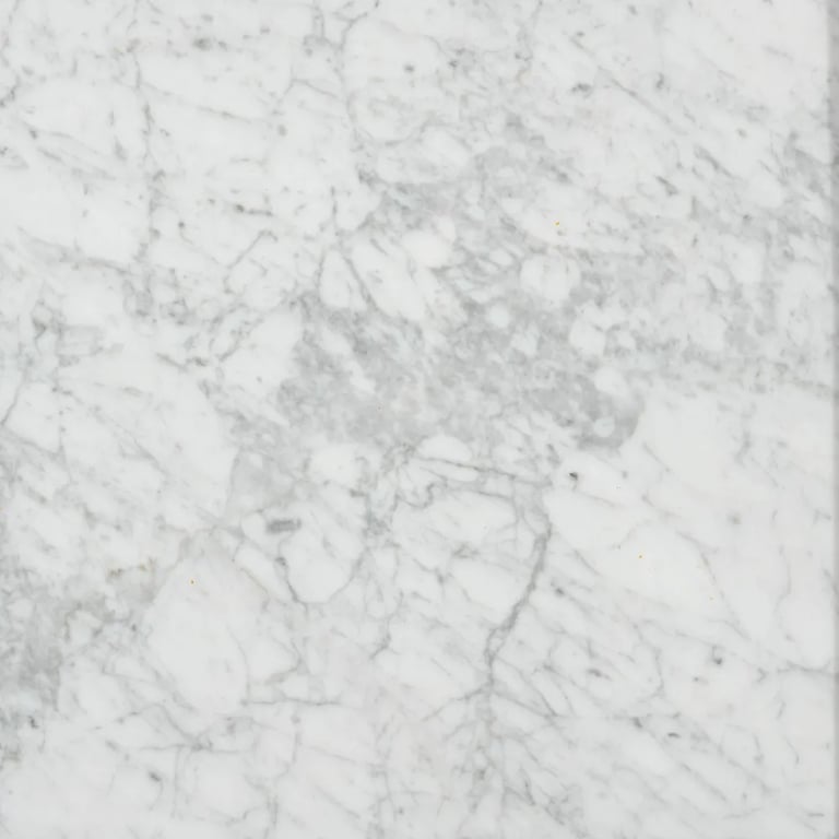 Bianco Venatino Polished – Close up photo is an example of the structure and color of this product, which will vary.