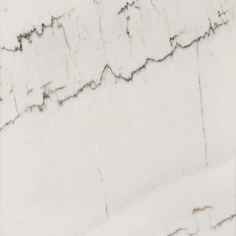 Calacatta Quartzite Polished - Close Up photo is an example of the structure and color of this product, which will vary.