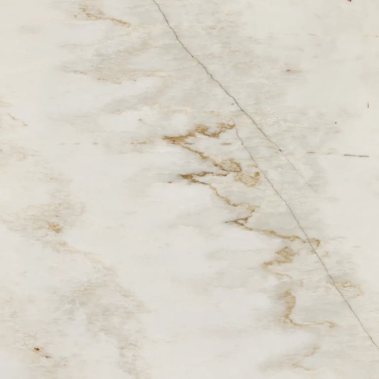 Calacatta Quartzite Polished - Close Up photo is an example of the structure and color of this product, which will vary.