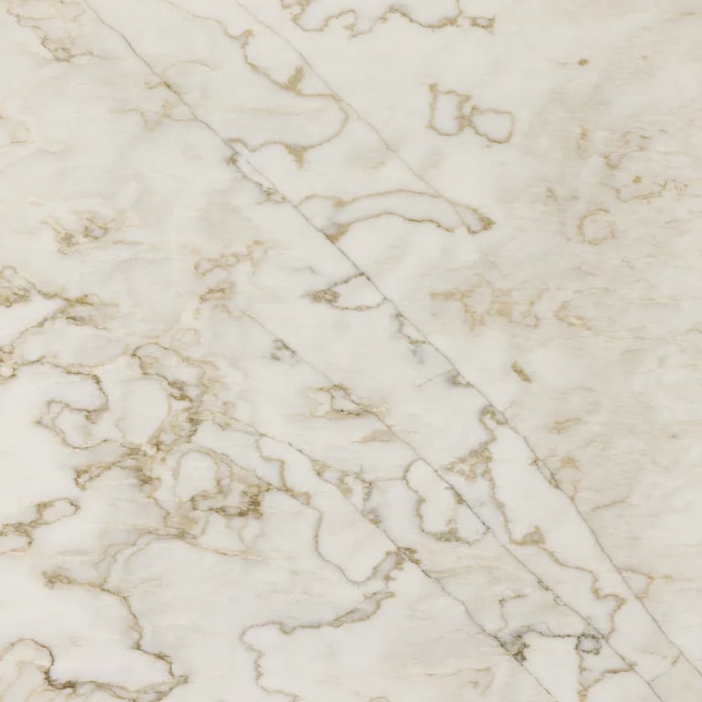 Calacatta Quartzite Polished - Close Up photo is an example of the structure and color of this product, which will vary.